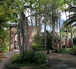 Botanischer Garten Puerto de la Cruz