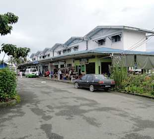 Wildlife Expeditions