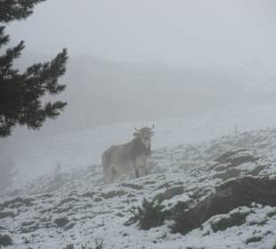 Widok z początków sierpnia