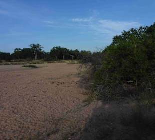 Krüger Nationalpark