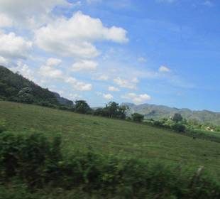 Vinales Tal
