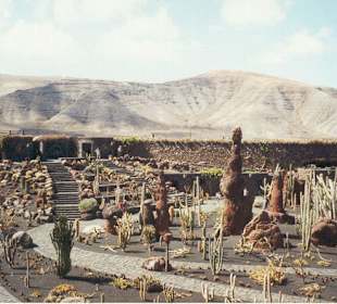 Lanzarote - Jardin de Cactus