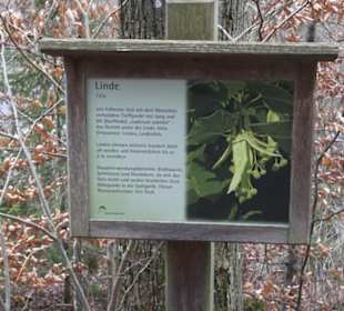Wildpark Eichert