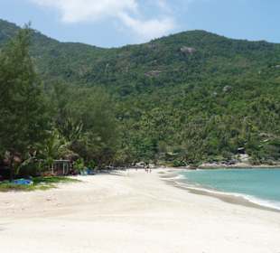Bottle Beach
