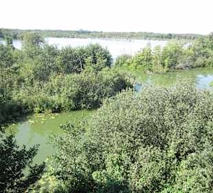 Impression vom Aussichtsturm Moorochse