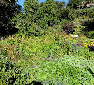 Impressionen aus dem Stadtgarten Vegesack