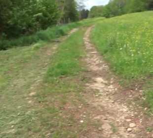 Naturpark Schönbuch