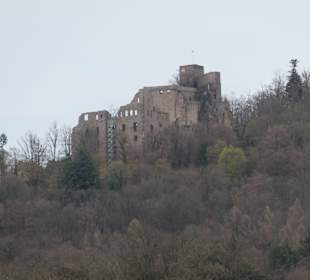 Blick zum Alten Schloss am Hang des Batterts