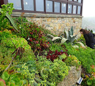 Minack Open Air Theatre