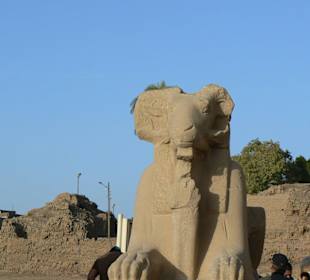 Ein wunderbarer Tag in Luxor