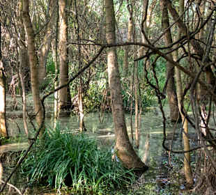 Naturschutzgebiet Baltata