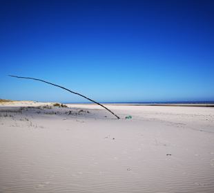 Strand Wangerooge