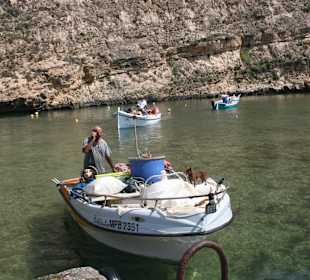 Boote auf dem Inlandsee