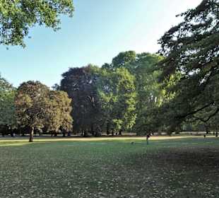 Spaziergang durch den Kölner Stadtgarten