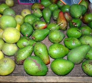 Rundgang über den Wochenmarkt von Saint Gilles