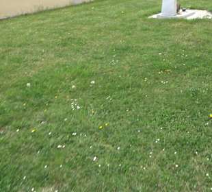 Friedhof Kleinerdlingen