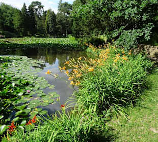 Am Bamberger Hainweiher