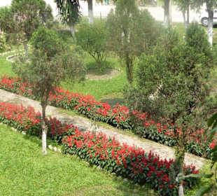 Restaurant Malbazar Touristik Lodge