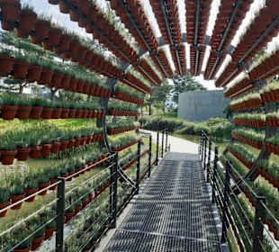 Blumentunnel