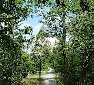 Schloßweg zum Sophienpavillon
