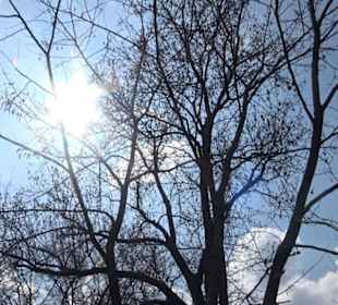 Altstadt Kirchheim unter Teck
