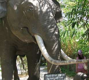 В зоопарке Бали