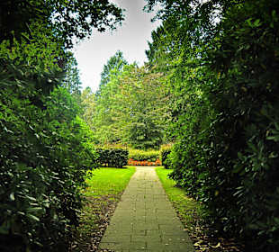 Кладбище Ольсдорф, Гамбург, 16 сентября 2013 года