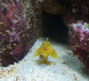Allwetterzoo Münster