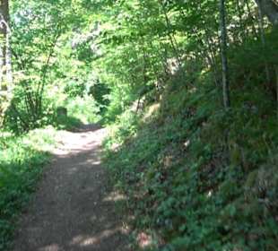 Wanderweg Sieben-Täler-Runde 