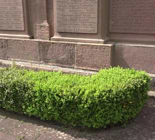 Kriegerdenkmal Lützenhardt