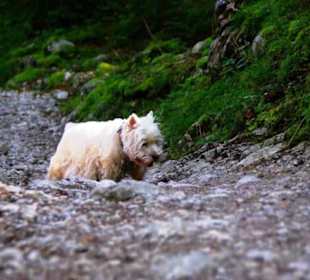 Mühsam geht es vorran