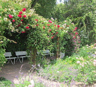 Rosengarten Zweibrücken