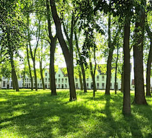 Ein Ausflug nach Brügge lohnt sich