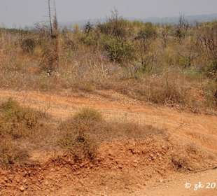 Weitläufige Straßen