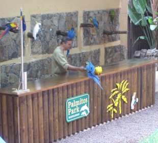 Palmitos Park