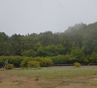 Impressionen La Gomera