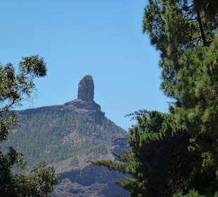 Blick auf Roque Nublo