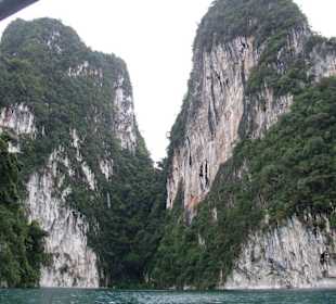 Ein Wunder der Natur