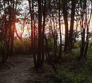 Wandern Diedrichshagen