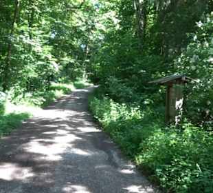 Waldinformationssystem „Lebendiger Wald“