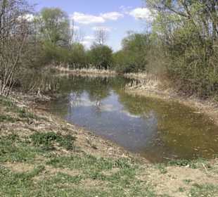 Sport- und Freizeitpark Markwasen