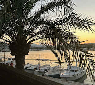 Yachthafen Alcudia
