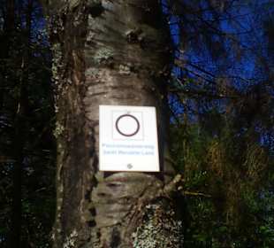 Panoramaweg Sankt Wendeler Land in Nonnweiler
