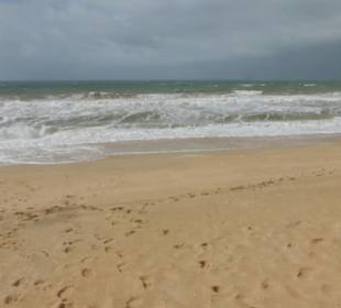 Halbinsel Ilha do Ancão / Ilha de Faro: Strand
