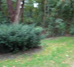 Skulptur Die glückliche Heimkehr des Kriegers