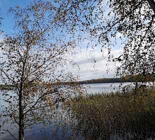 Wandern Senftenberg