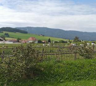 Wandern Warzenried