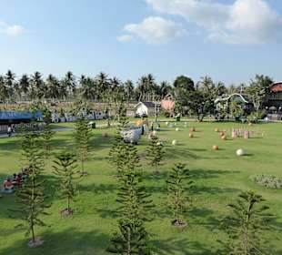 Blick von der Windmühle über den Park