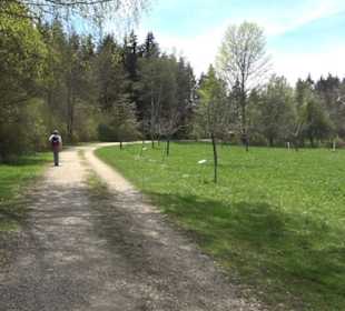 Premiumspazierwanderweg - Hochgehhütet