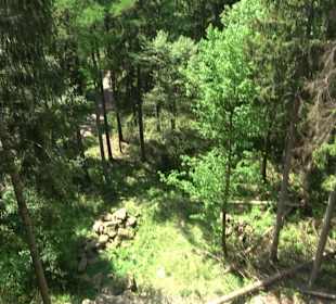 Naturparkzentrum Ruhestein